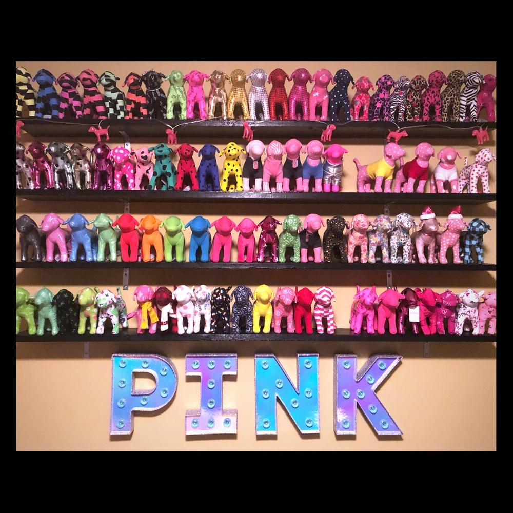 Vs Pink Dog collection